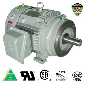 Hyundai Electric IEEE 841 C Face Motor